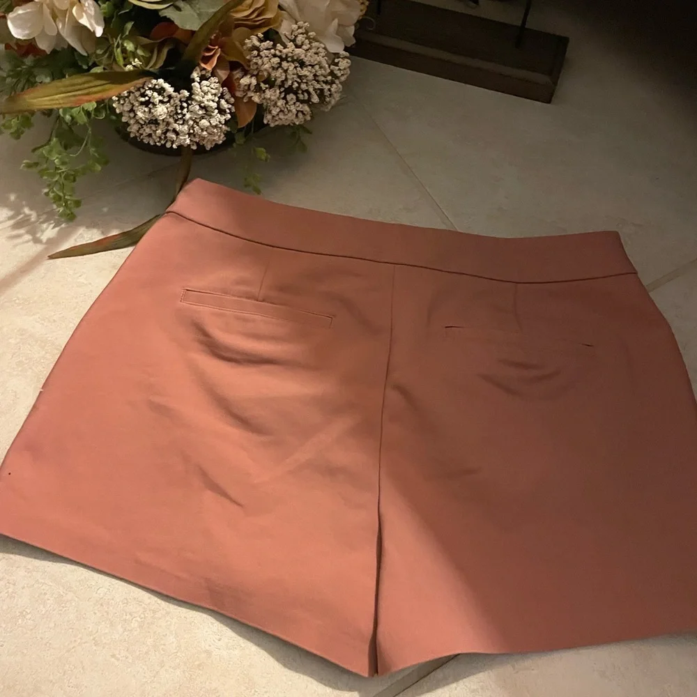 EXPRESS Blush Pink SZ 6 Tie Up Lace Preppy Dainty Shorts With Pockets & side zip